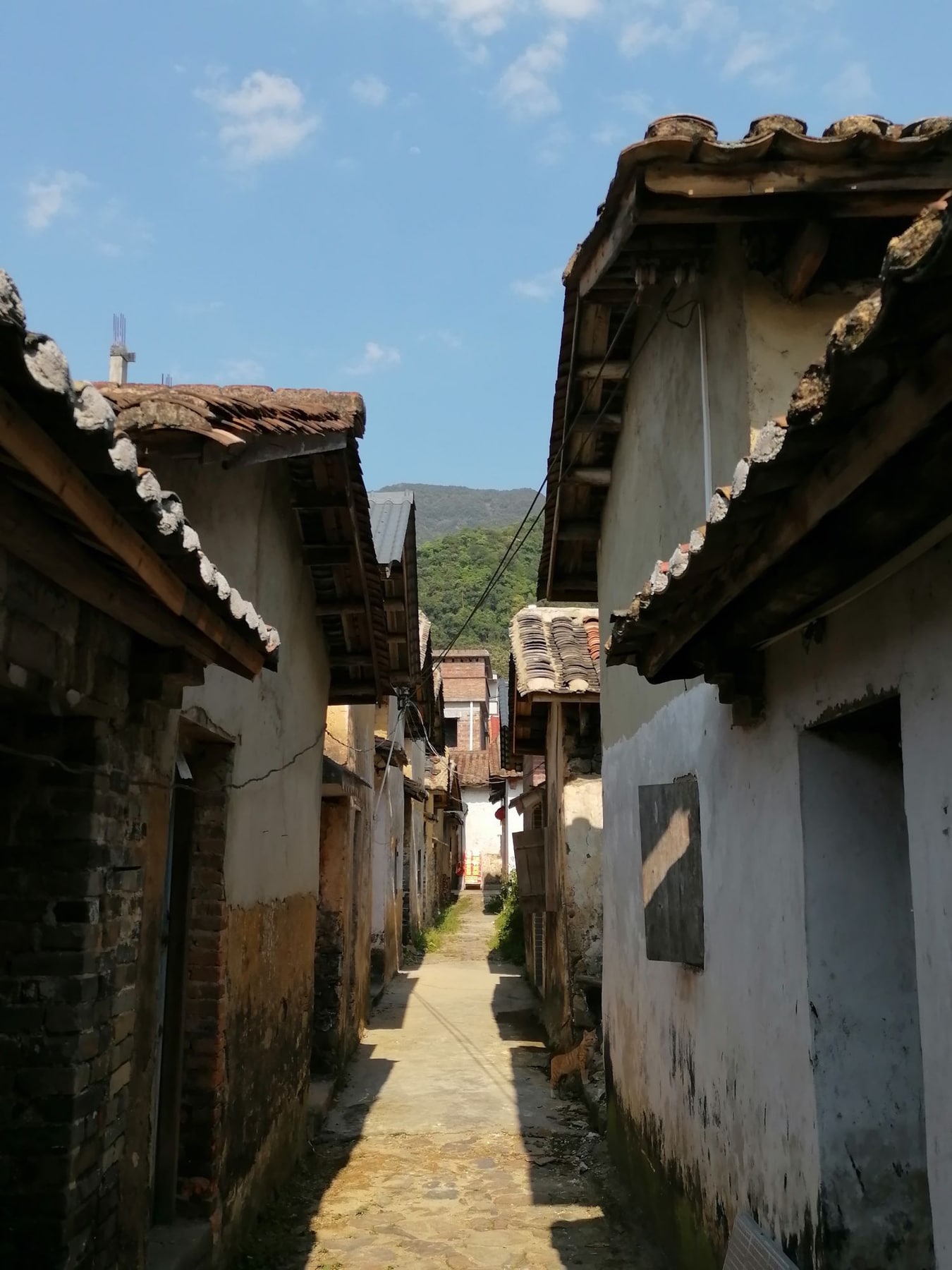 溪头村景点图片 5