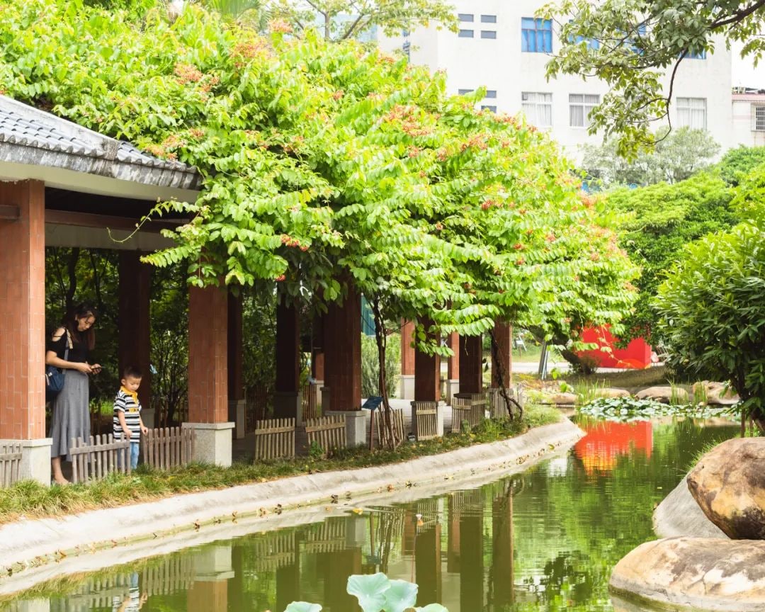 陈李济中药文化园景点图片 11