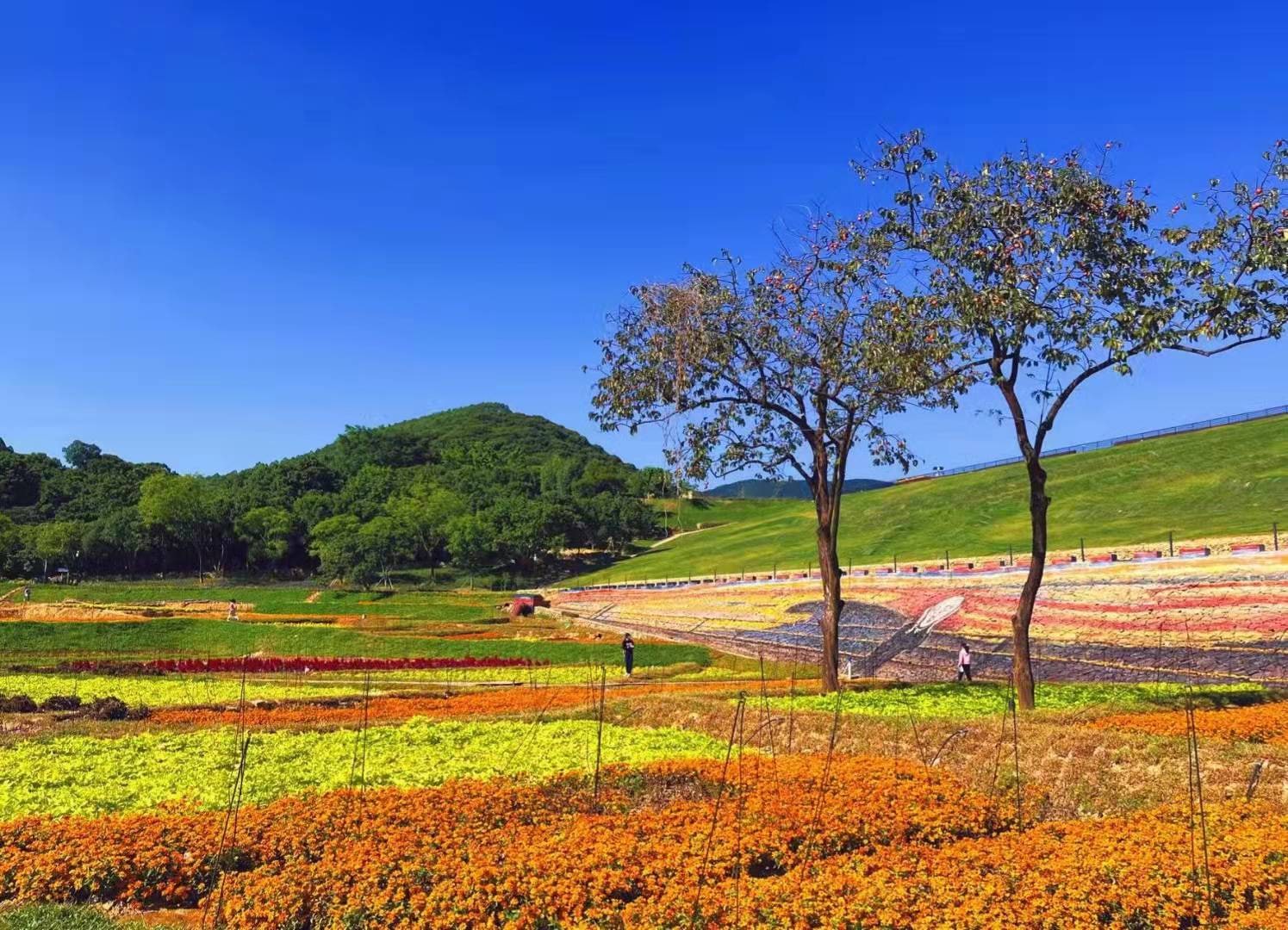 天人山水景点图片 7
