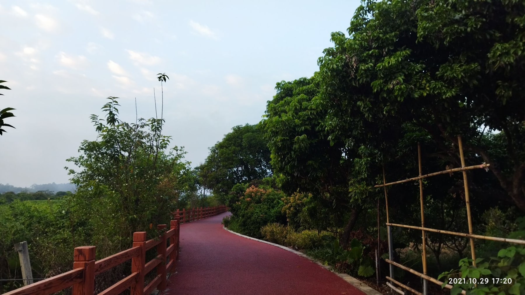 莲塘春色休闲景点图片 7