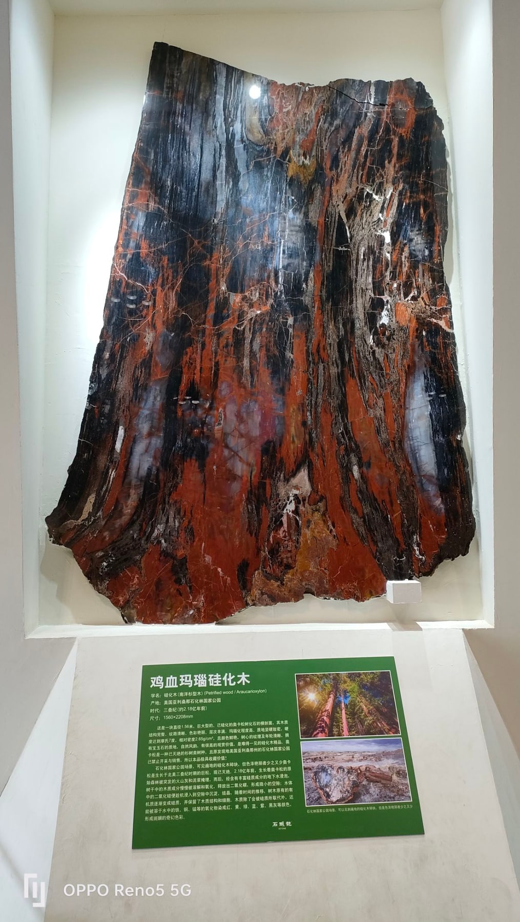 石头记矿物园景点图片 4