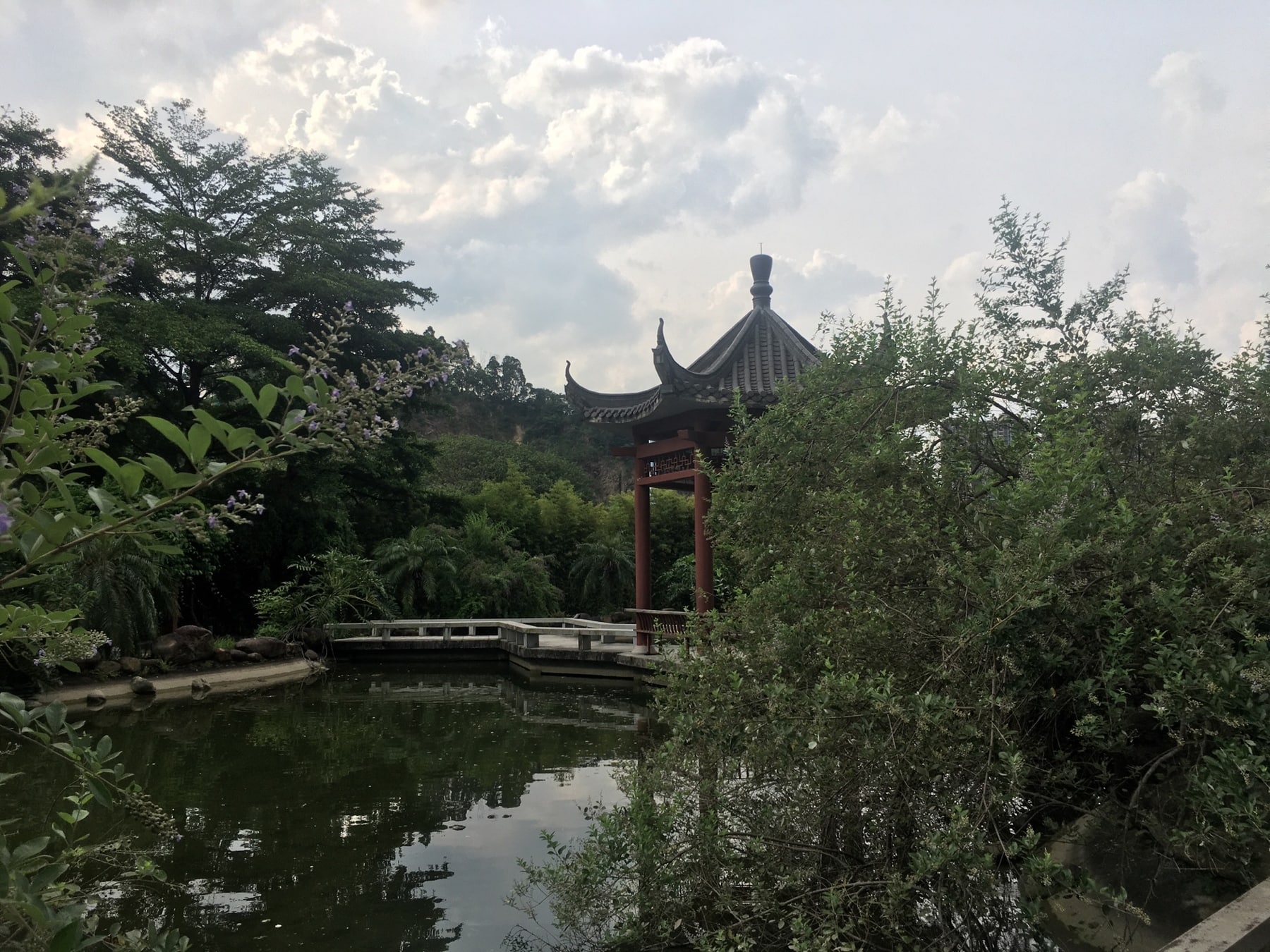 广州神农草堂中医药博物馆景点图片 7