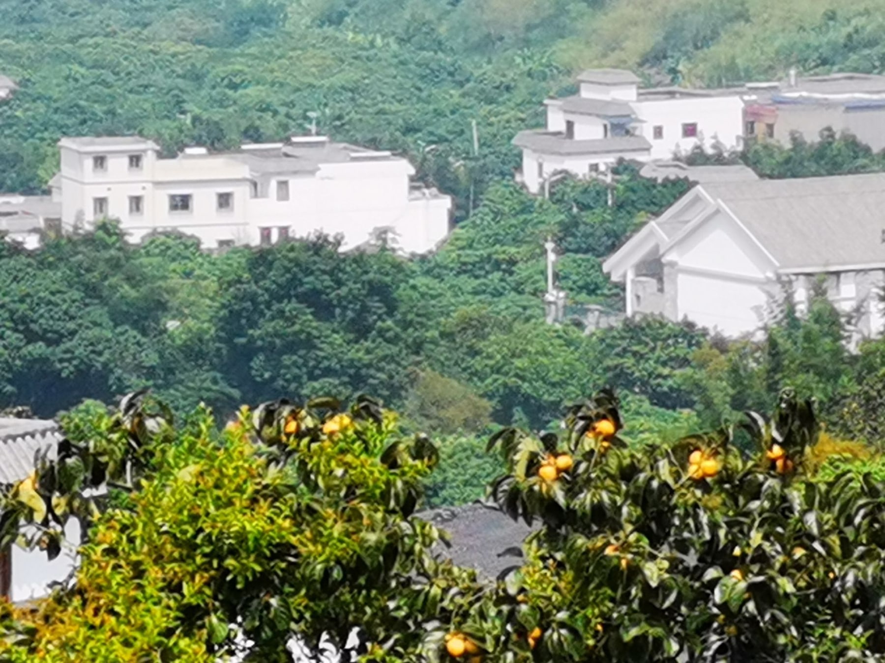 南平静修小镇景点图片 10