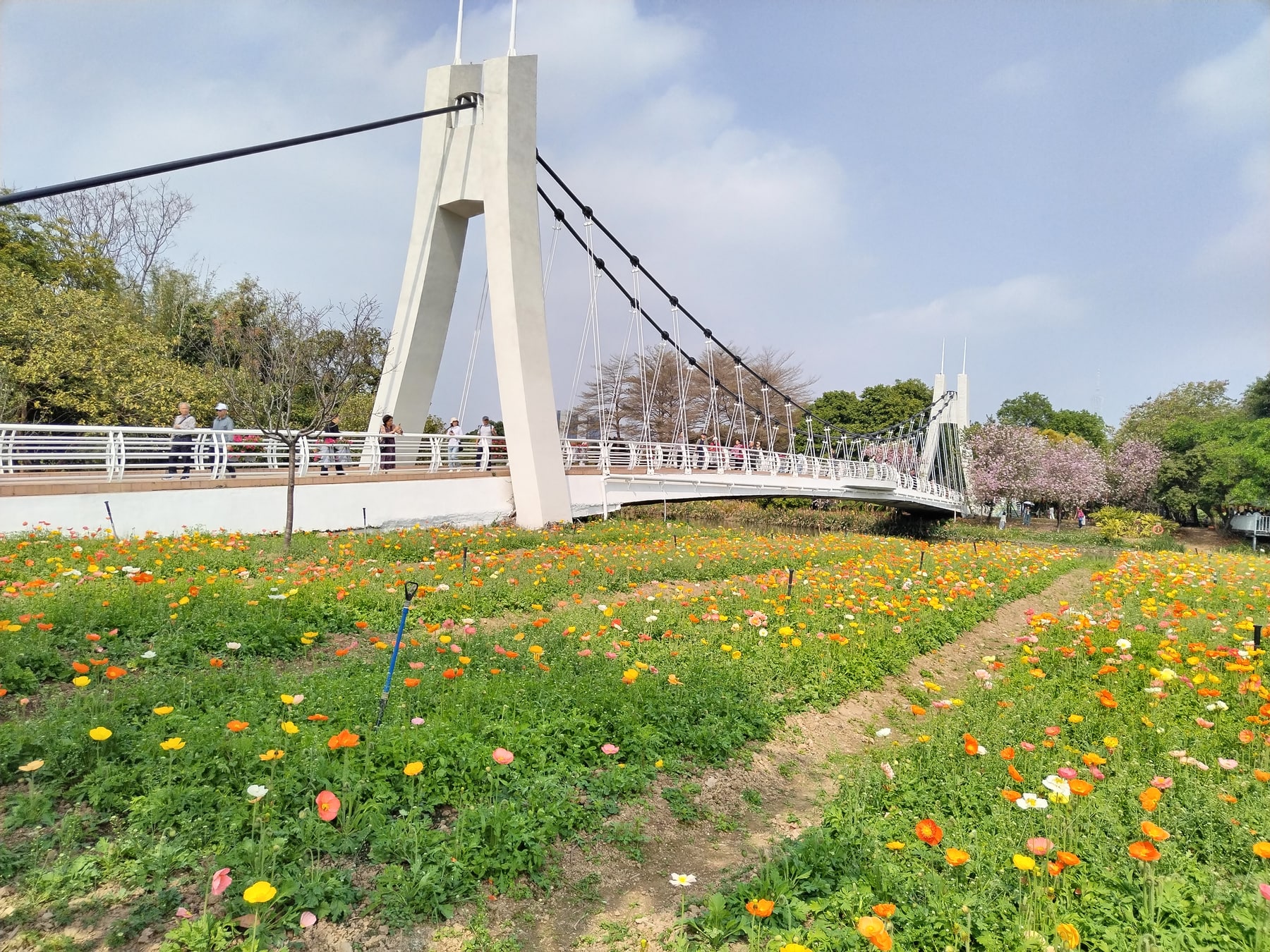 海珠国家湿地公园景点图片 9