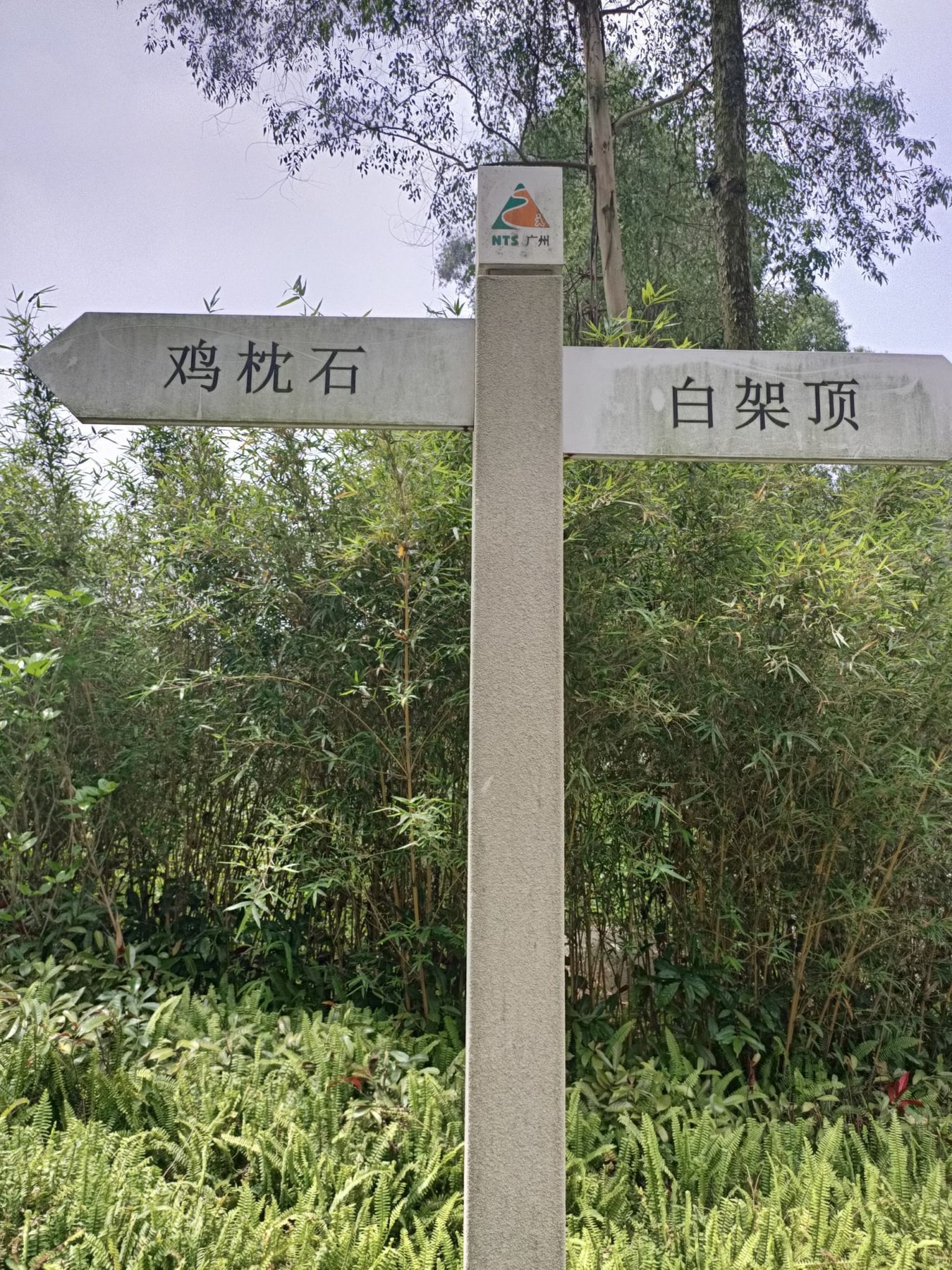 火炉山森林公园景点图片 10