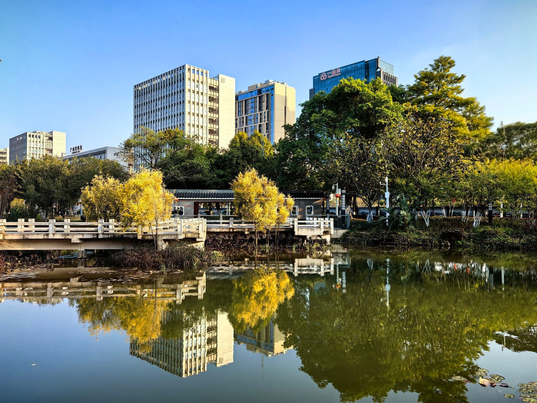 广州国际生物岛景点图片 2