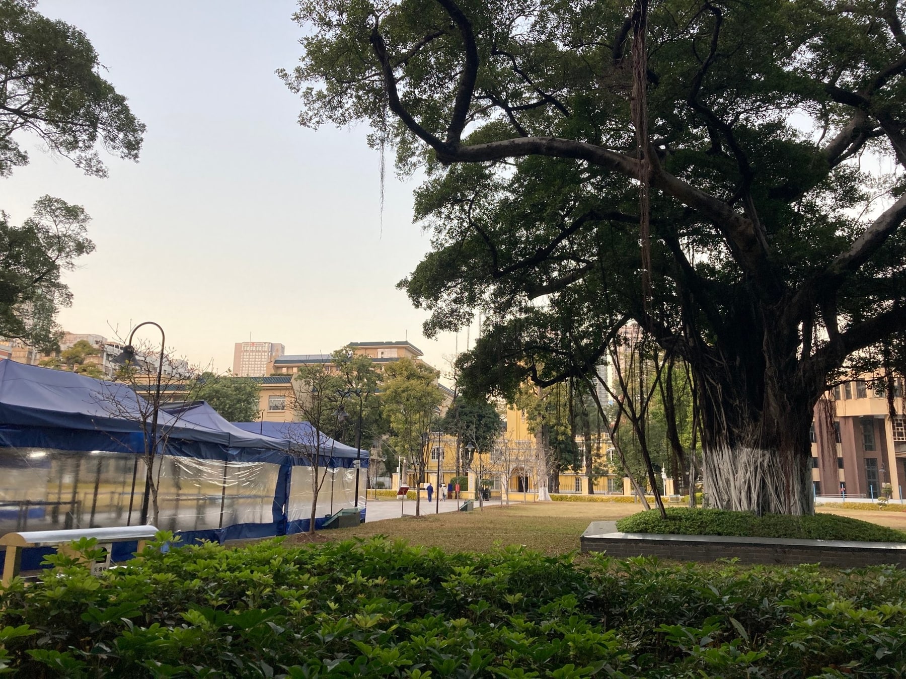 广东省立中山图书馆景点图片 9