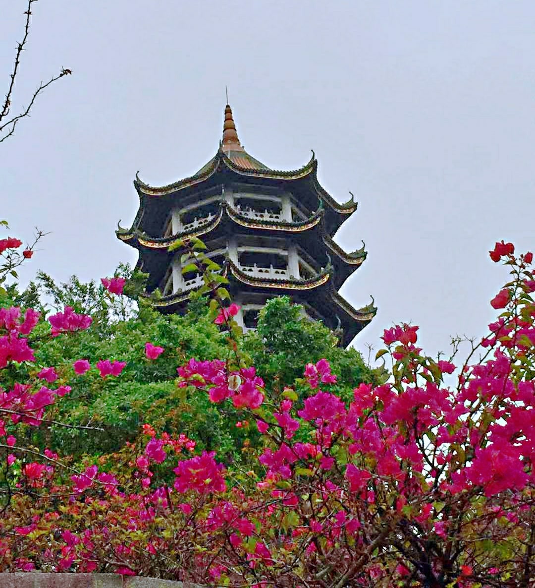 十八罗汉山森林公园景点图片 2