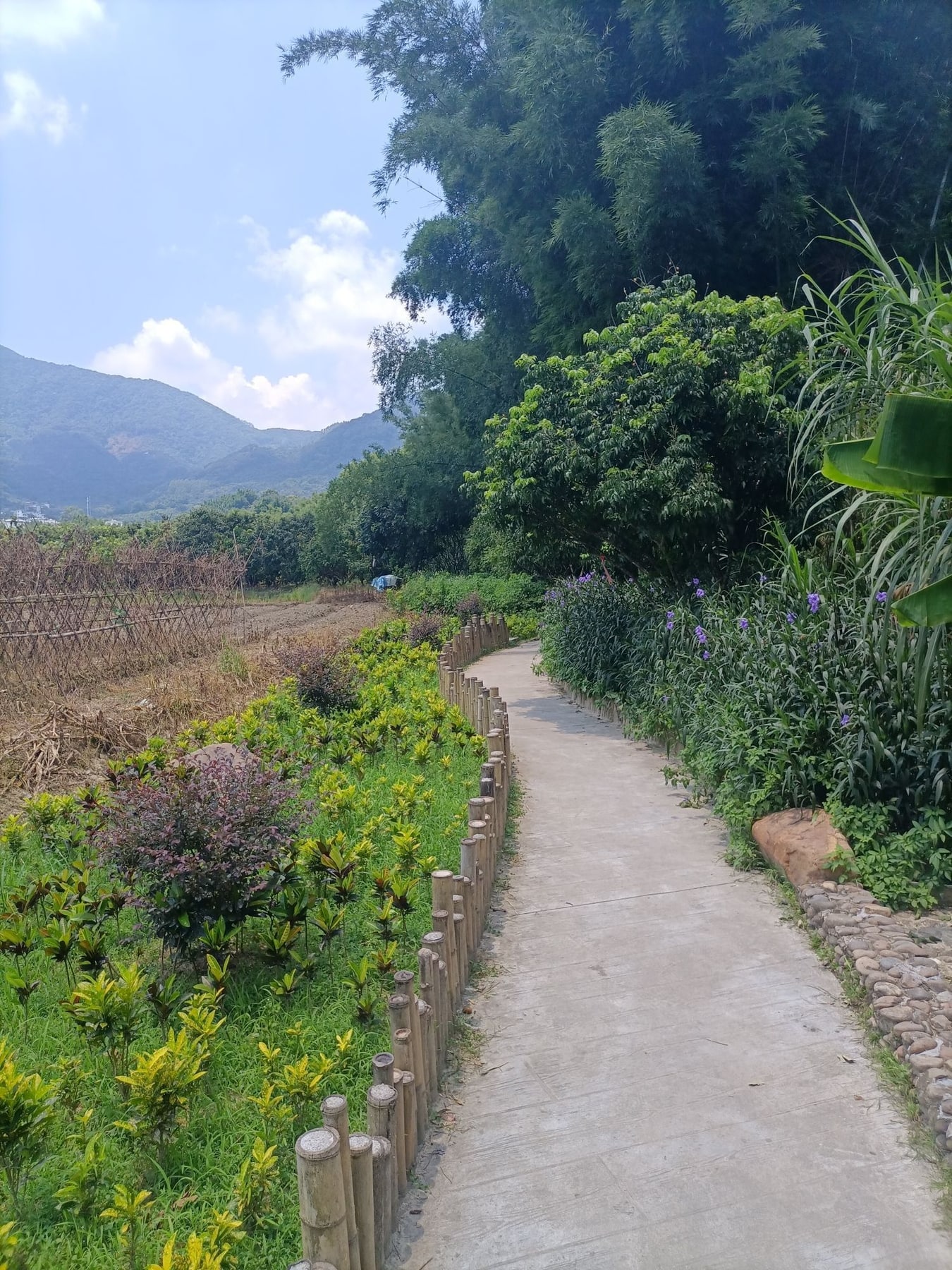 南平静修小镇景点图片 4