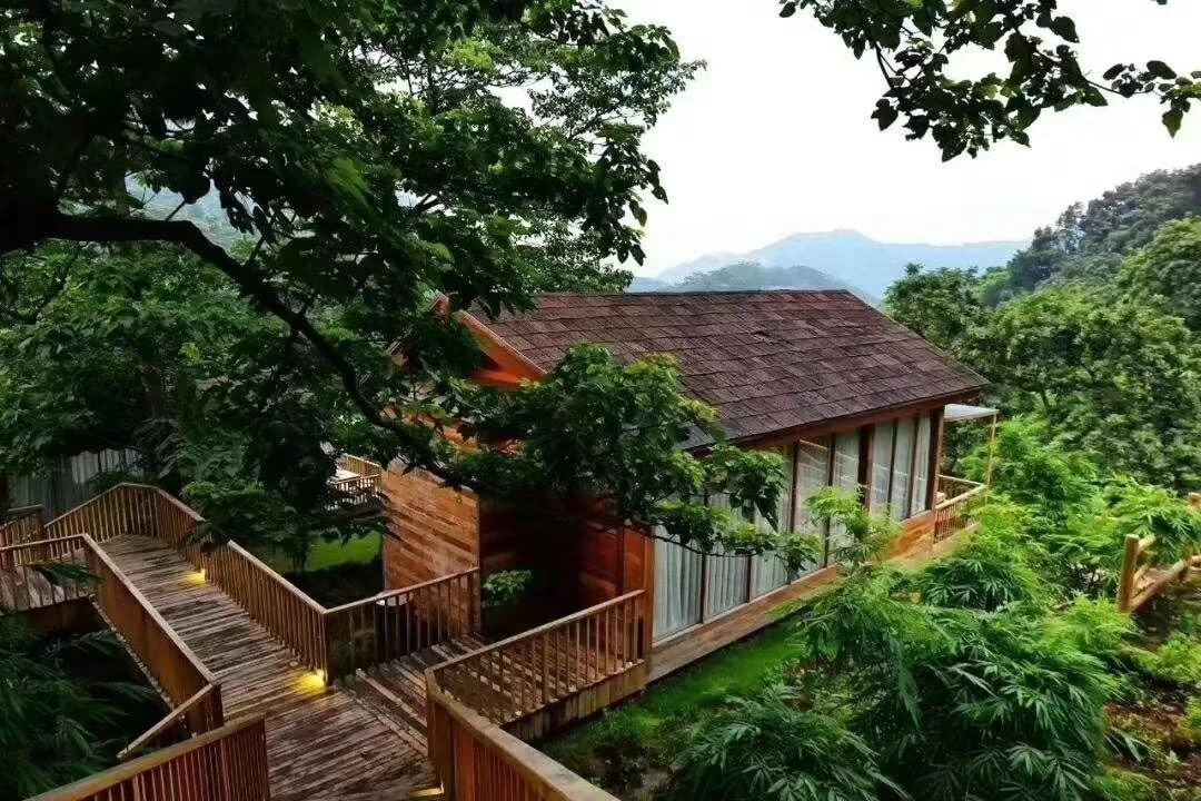 星罗纪大森林景点图片 3
