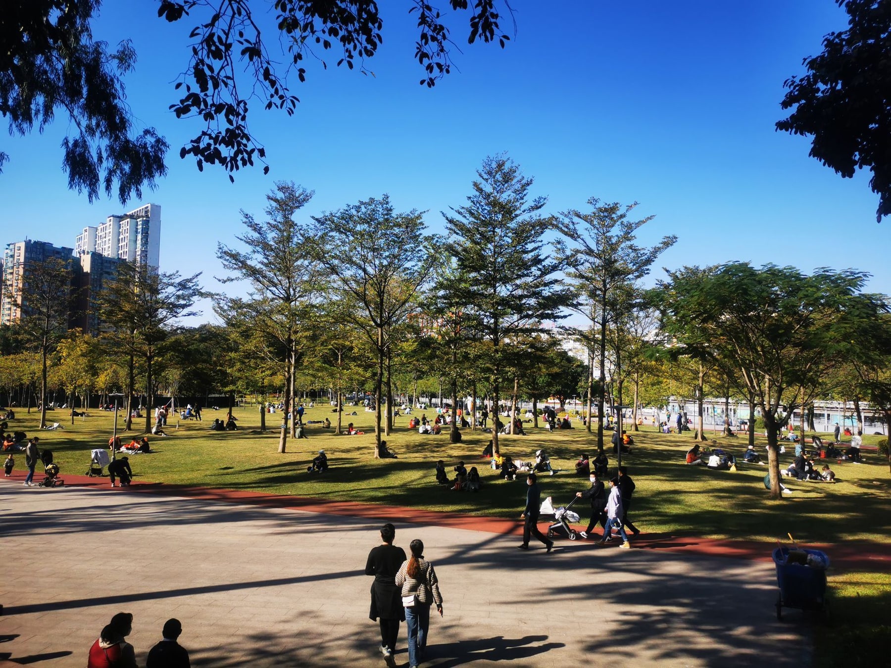 天河公园景点图片 6