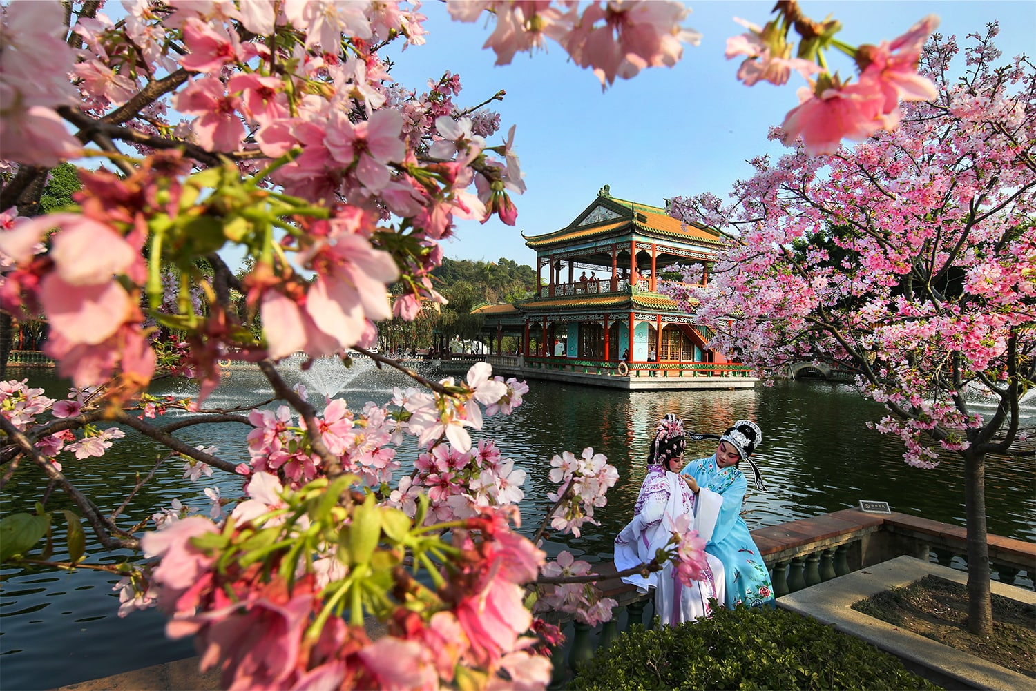 宝墨园景点图片 5