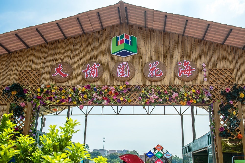 大埔围美丽乡村景点图片 6