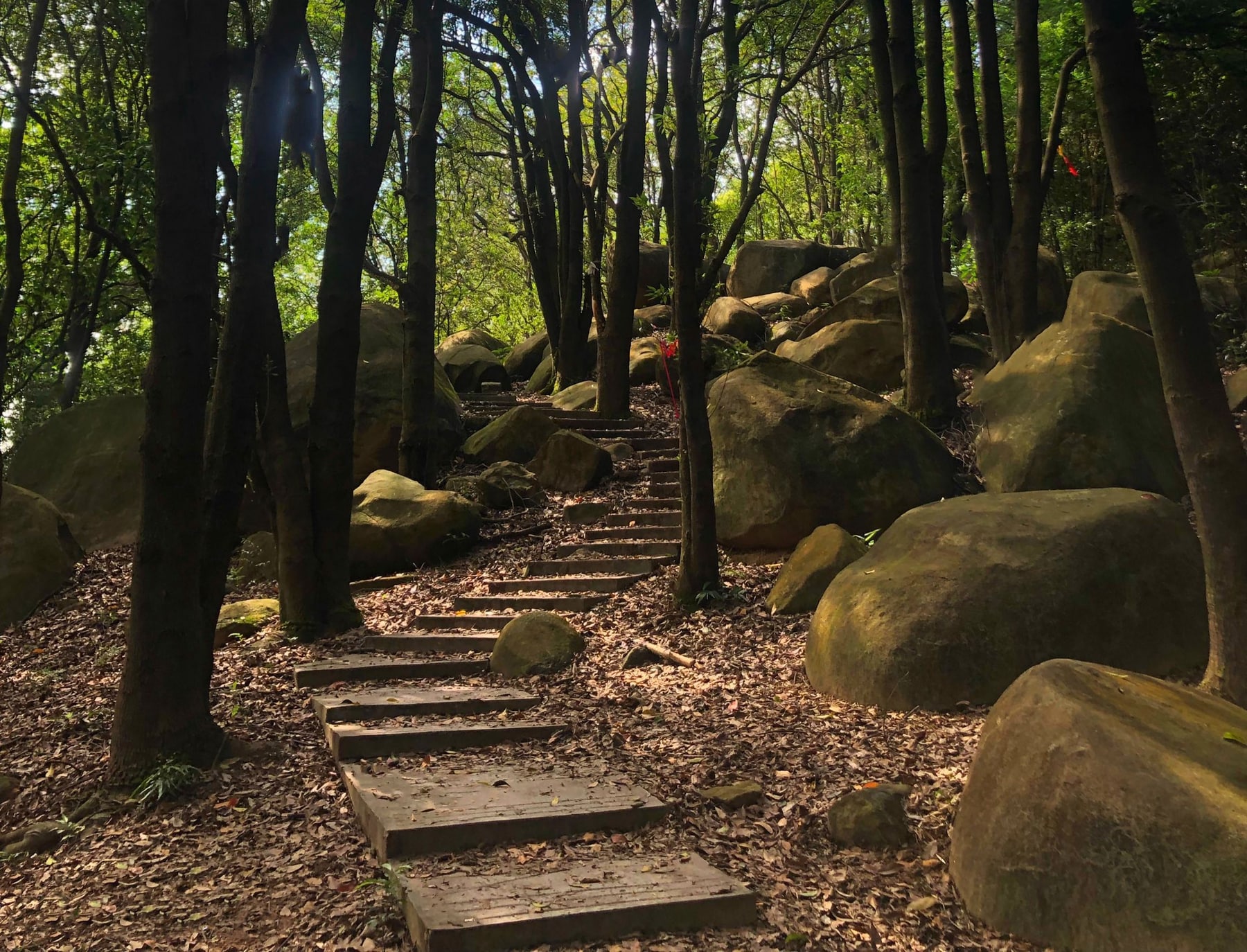 龙洞森林公园景点图片 9