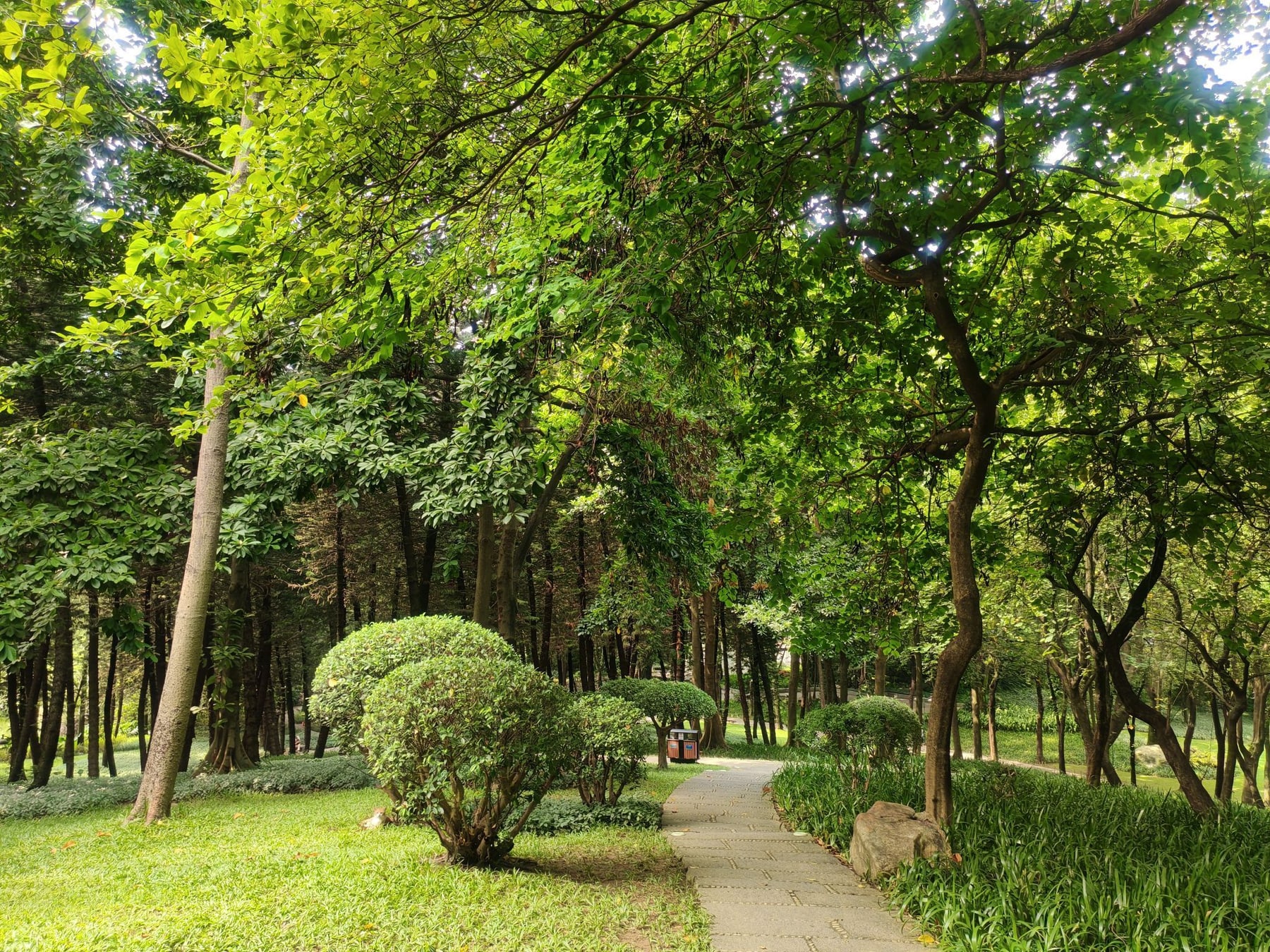 珠江公园景点图片 4