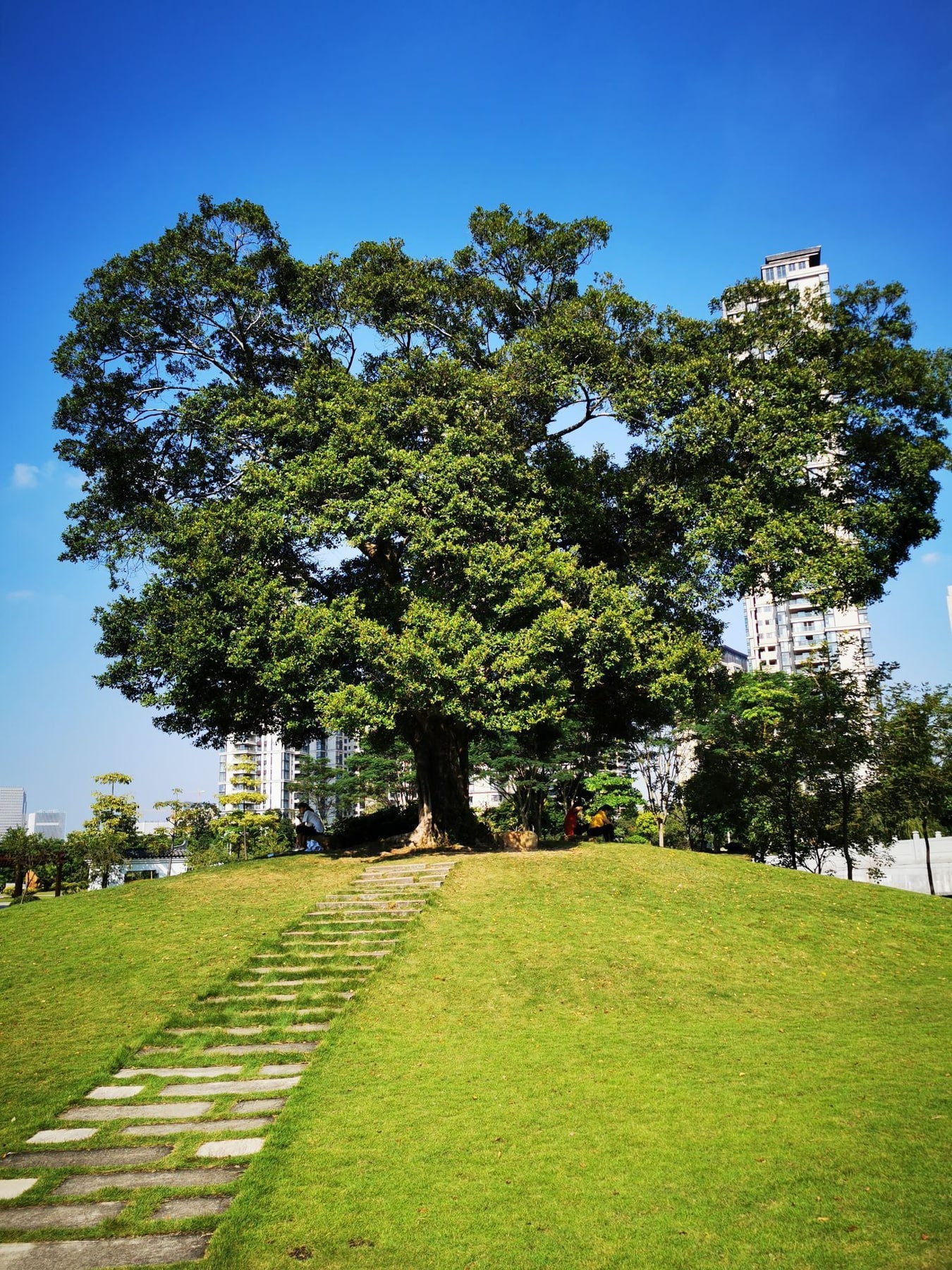 广州水博苑景点图片 5