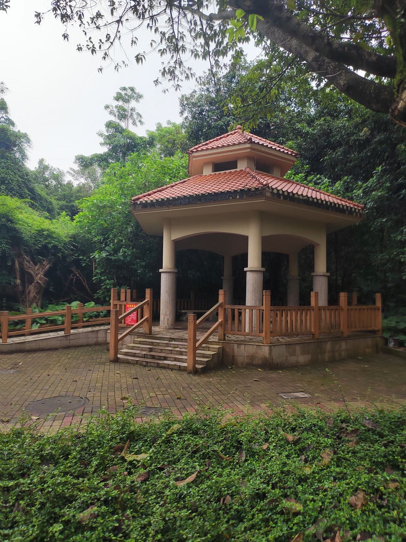 大夫山森林公园景点图片 6