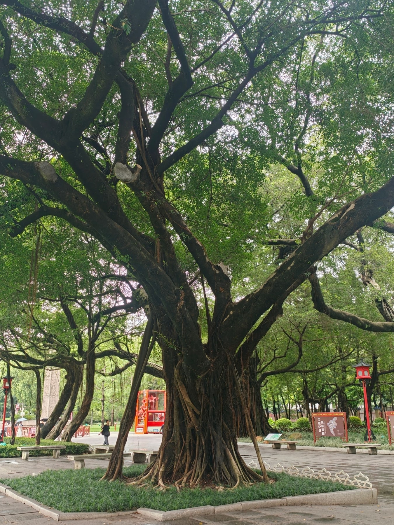 中山纪念堂景点图片 10