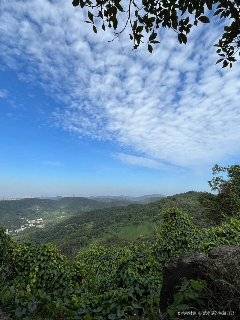 龙洞森林公园景点图片 6