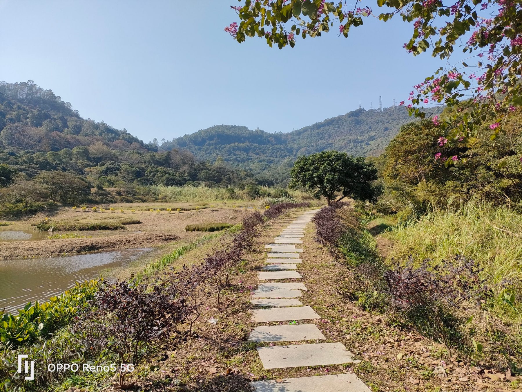 黄山鲁森林公园景点图片 6