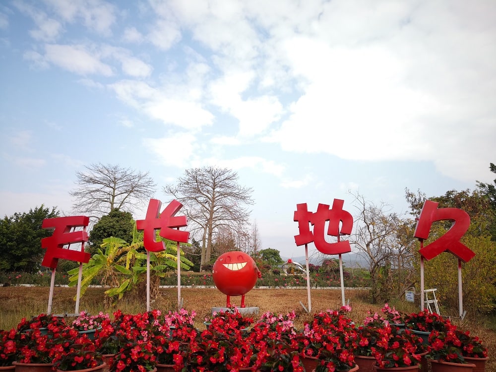 从化宝趣玫瑰世界景点图片 10