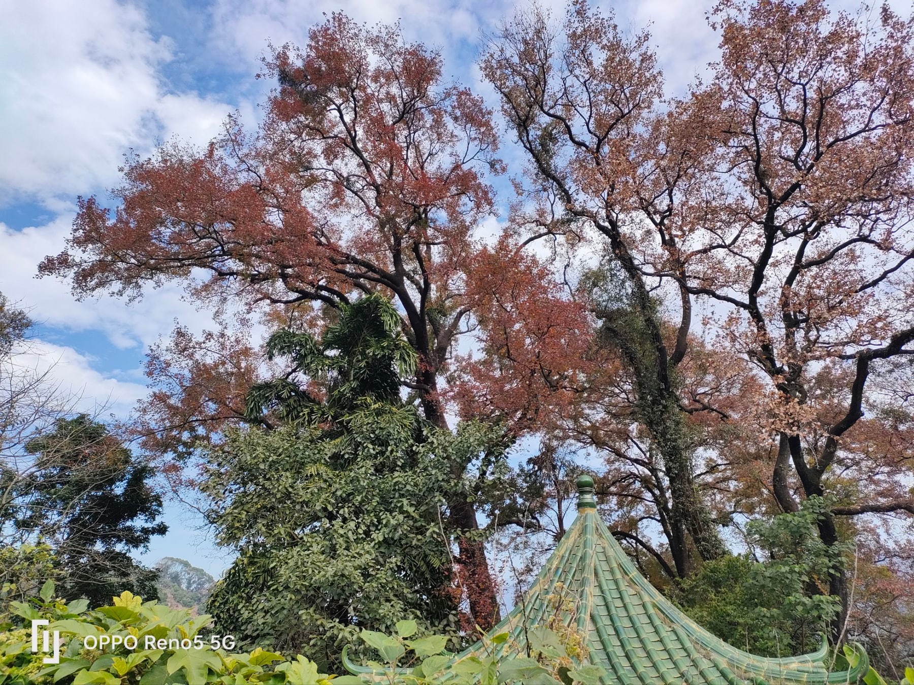 南平静修小镇景点图片 3