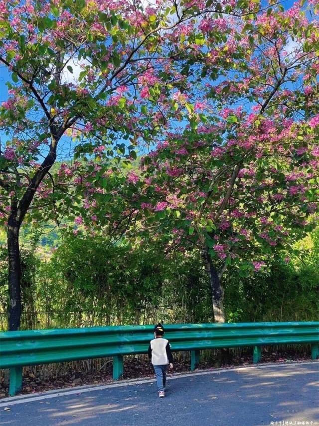南香山景点图片 6