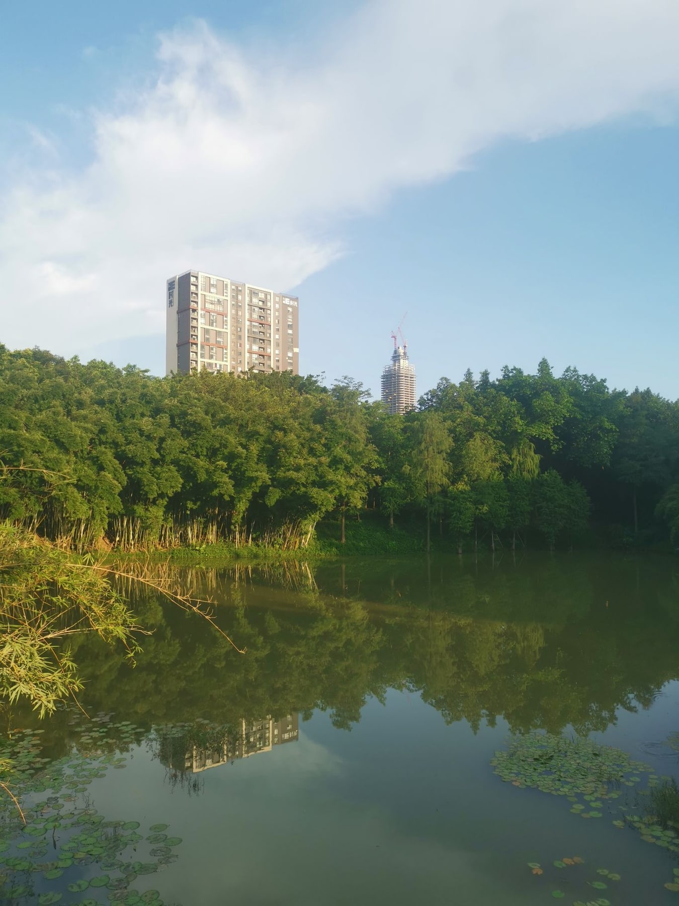 天河公园景点图片 10