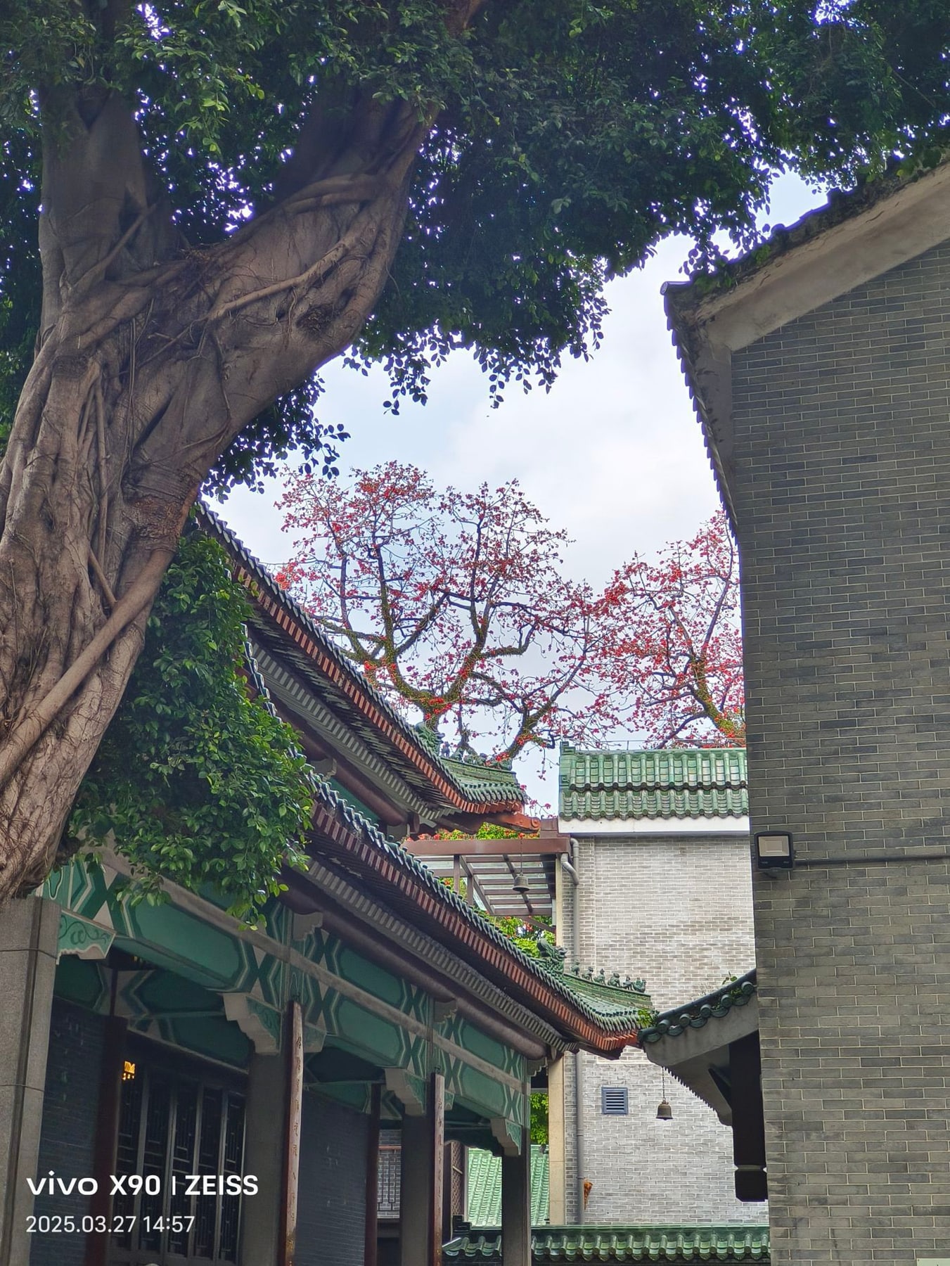 六榕寺景点图片 10