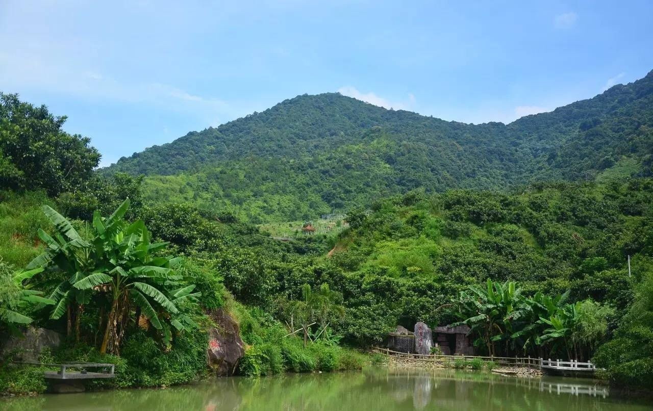 香蜜山生态景点图片 4