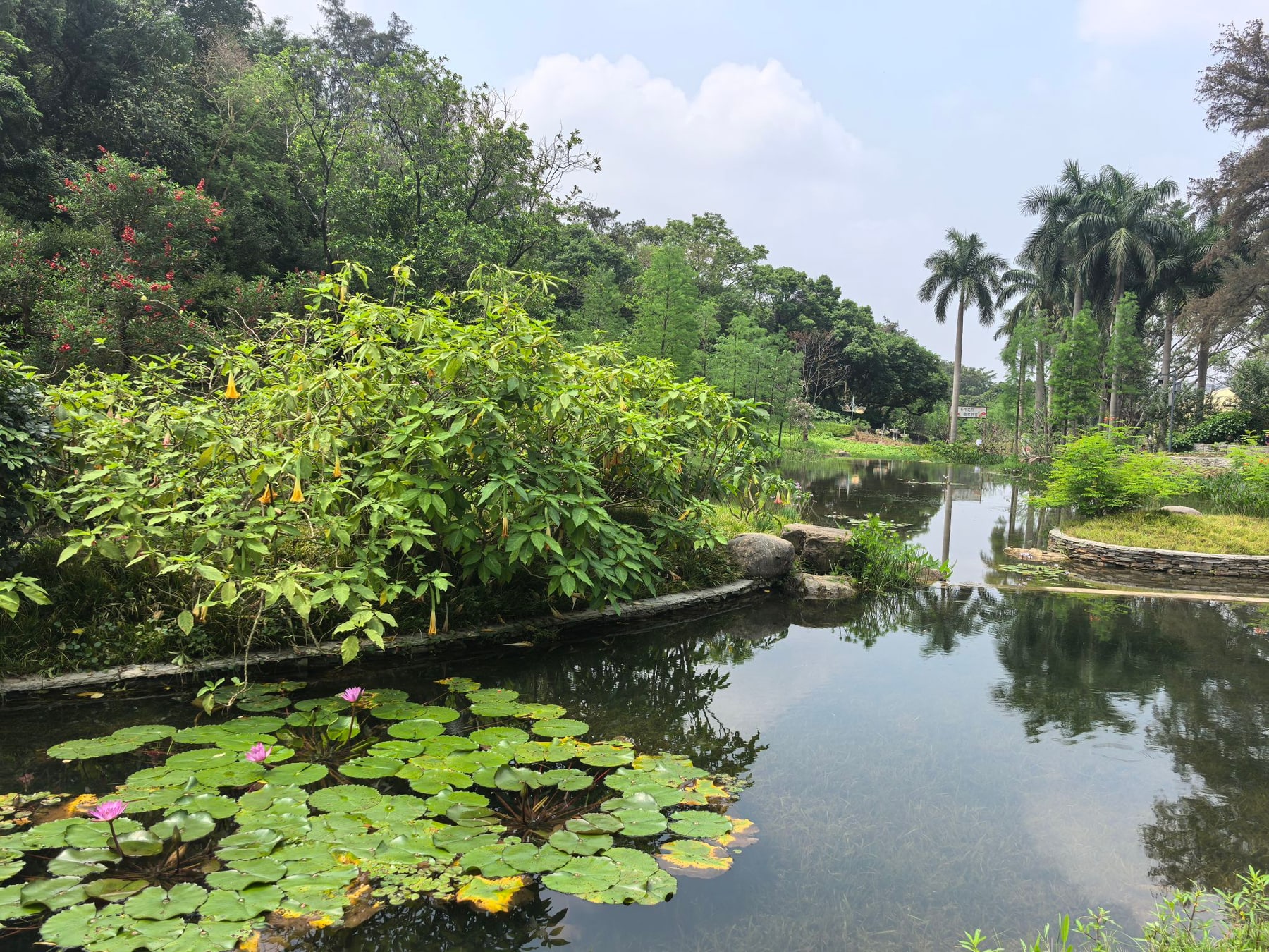 云溪植物园景点图片 7