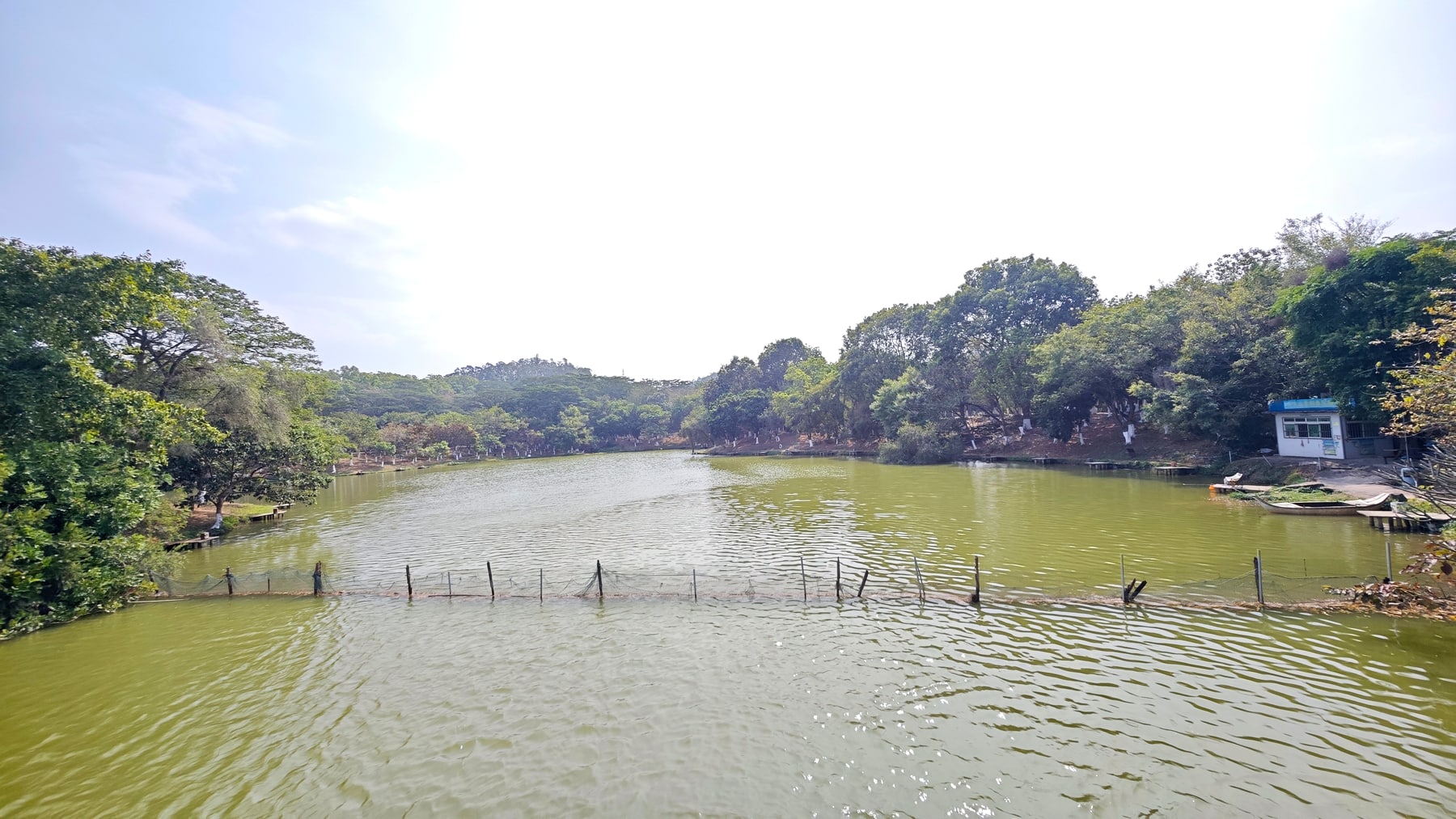 大夫山森林公园景点图片 2