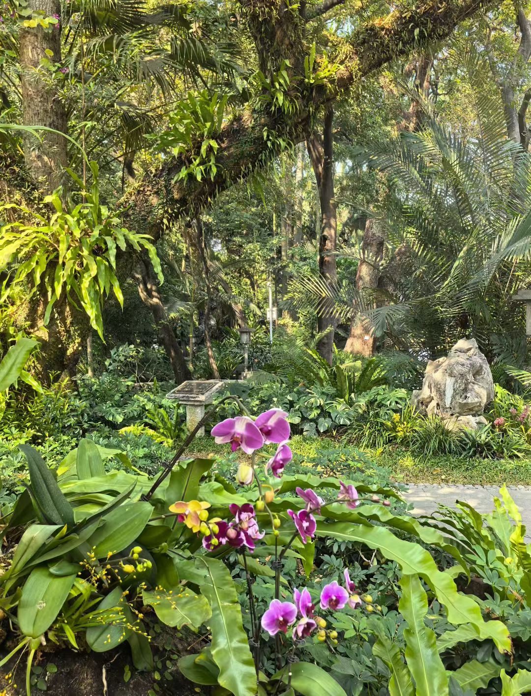 广州兰圃景点图片 5