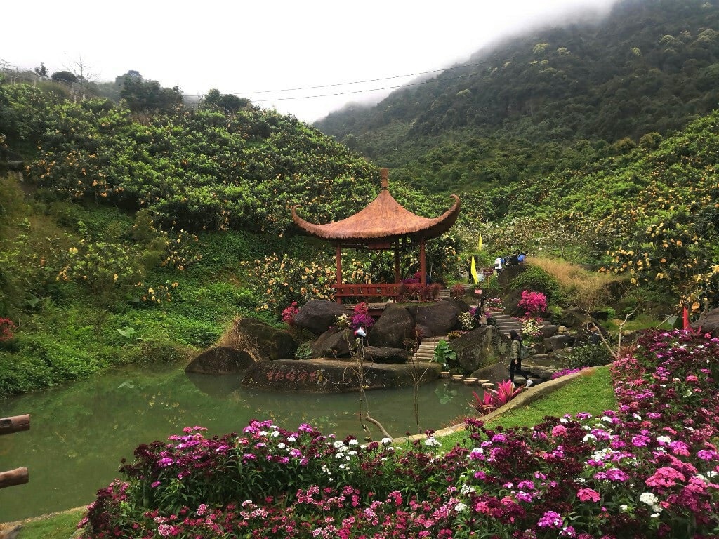 香蜜山生态景点图片 8