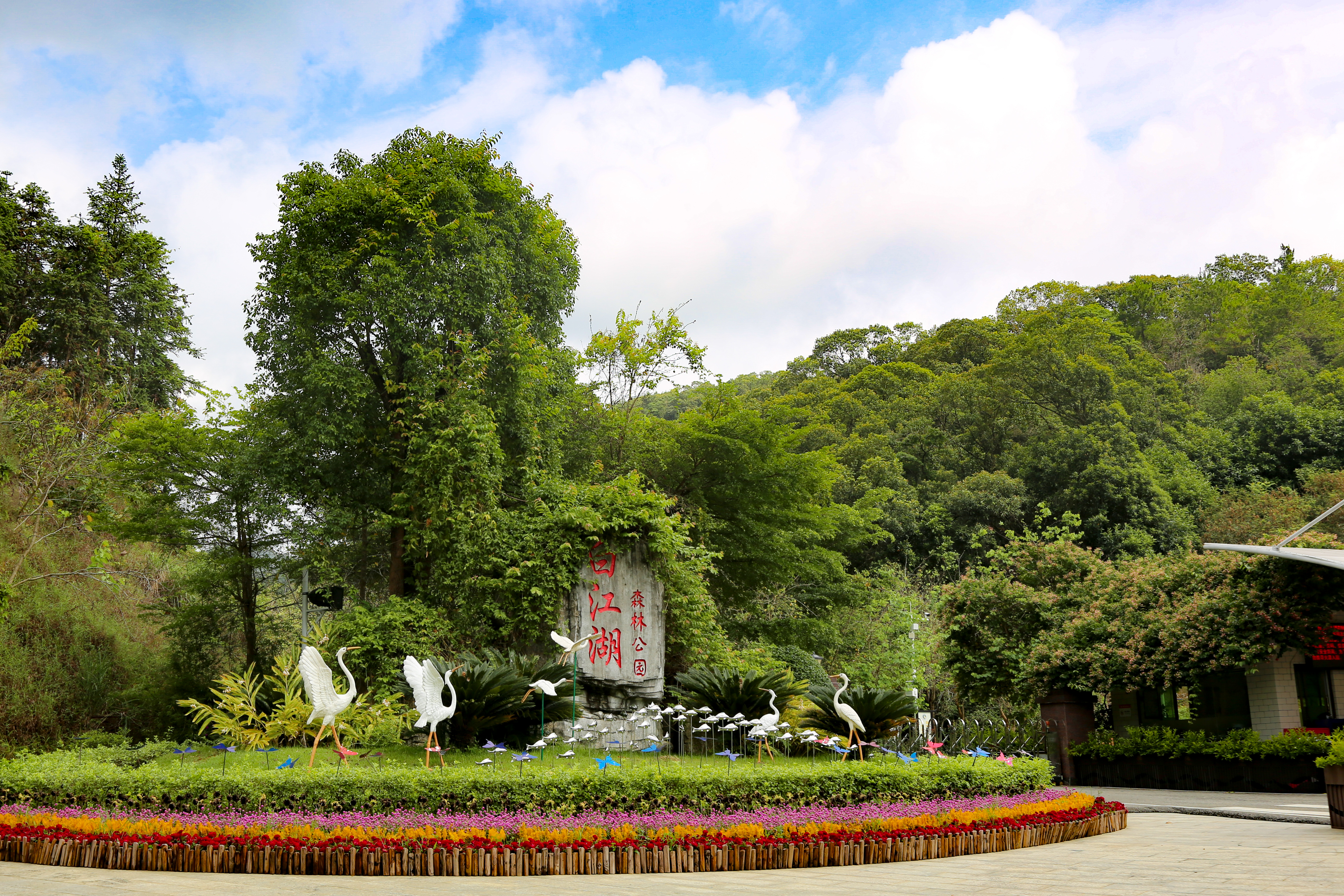 白江湖森林公园