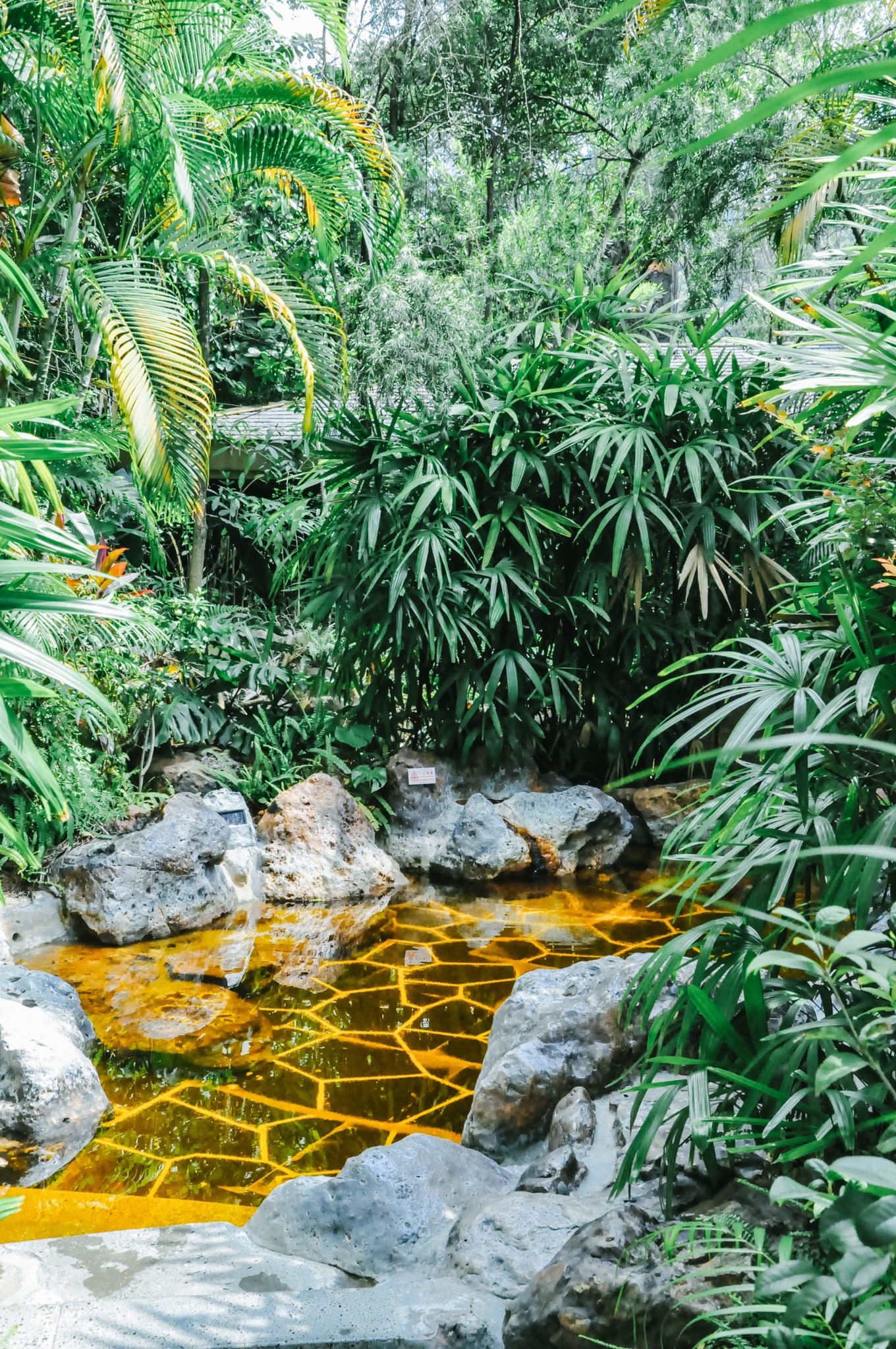 广东超高质量温泉度假区推荐