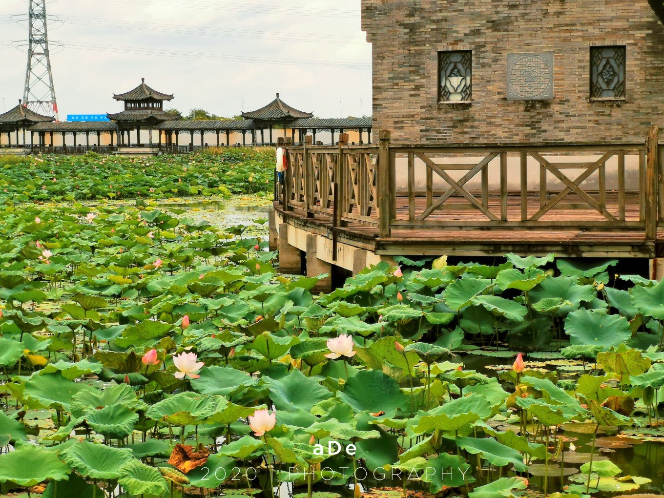 广深周边,踏青赏花寻秋