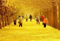广东省精品旅游线路指南(数十条经典线路任你选)