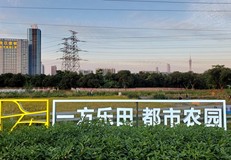 广东省精品旅游线路指南(数十条经典线路任你选)