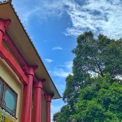 带父母游【广州】攻略(数十条经典经路供选择)