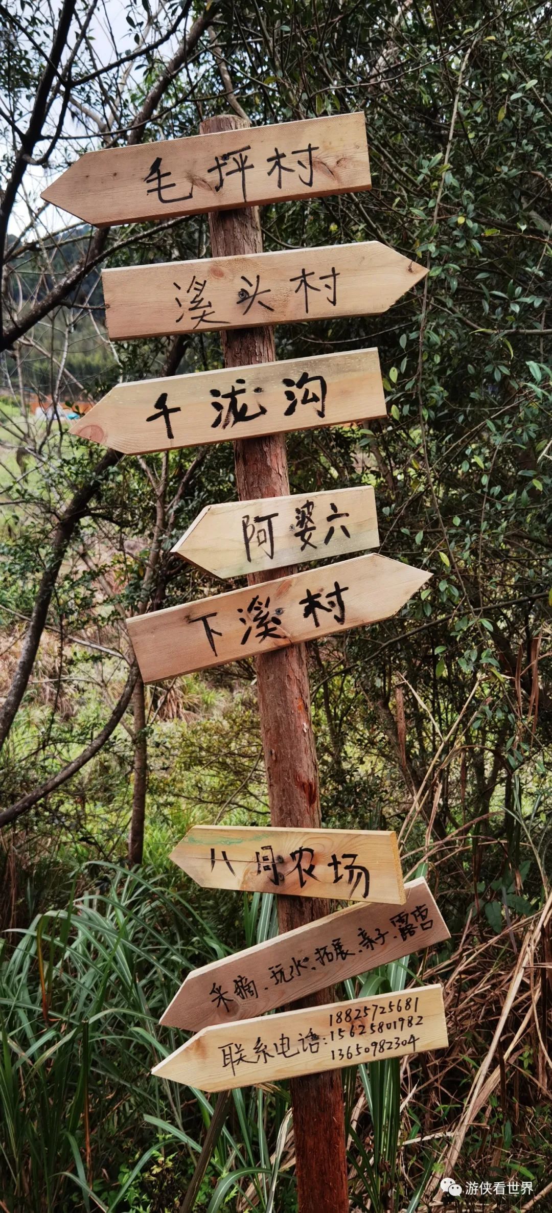 广州绝美乡村星溪线徒步 竹林李花溪水走地鸡竹筒饭