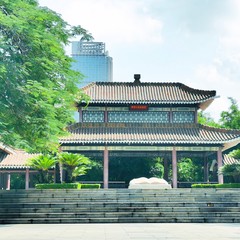 带父母游【广州】攻略(数十条经典经路供选择)