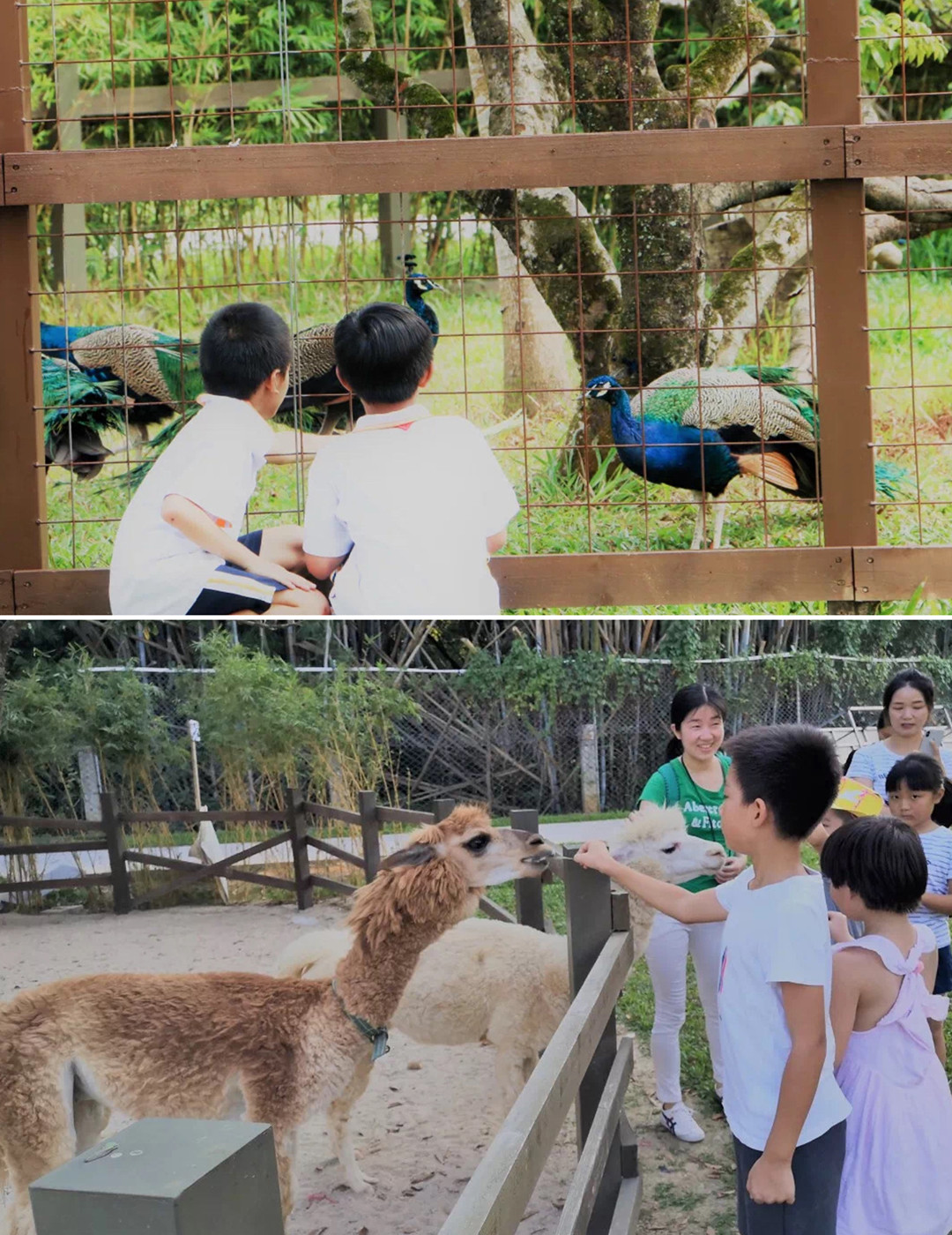广州/深圳周边露营地盘点,周末就可出发