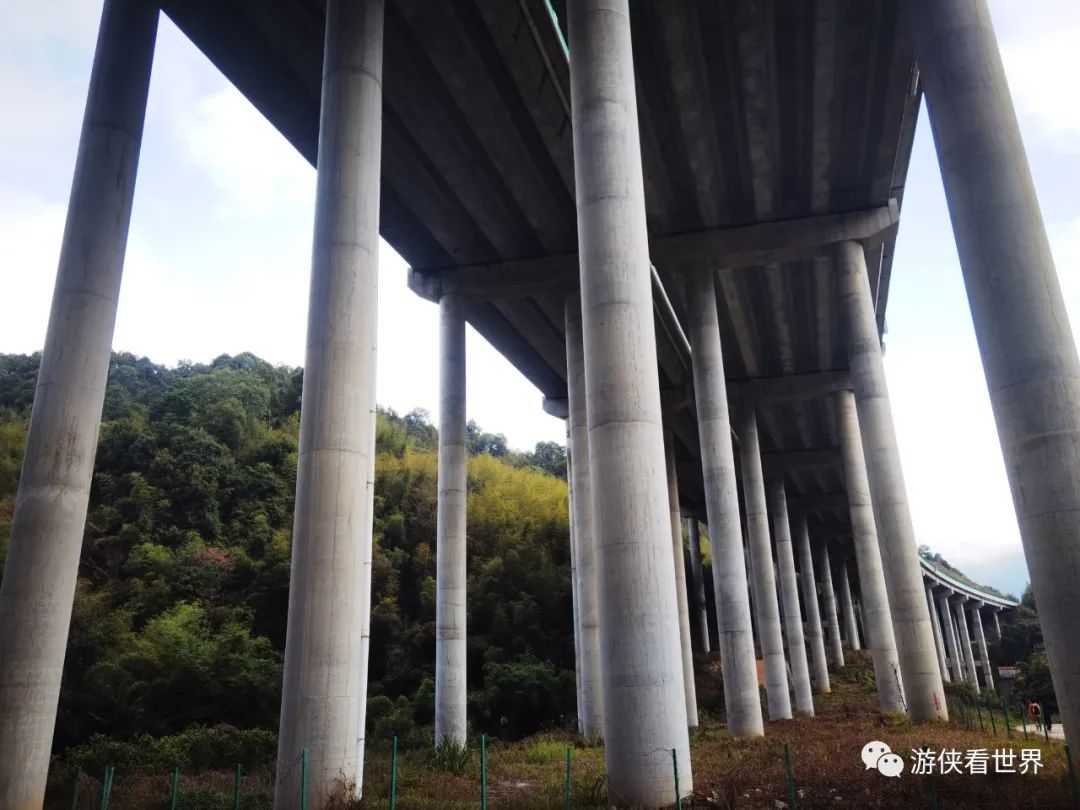 广州绝美乡村星溪线徒步 竹林李花溪水走地鸡竹筒饭