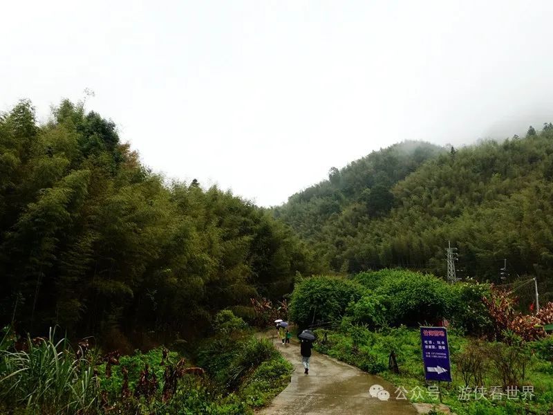 广州:星溪线乡野徒步 雨中漫步天适樱花园