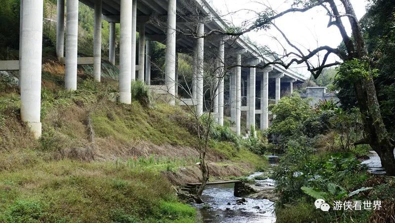 广州绝美乡村星溪线徒步 竹林李花溪水走地鸡竹筒饭