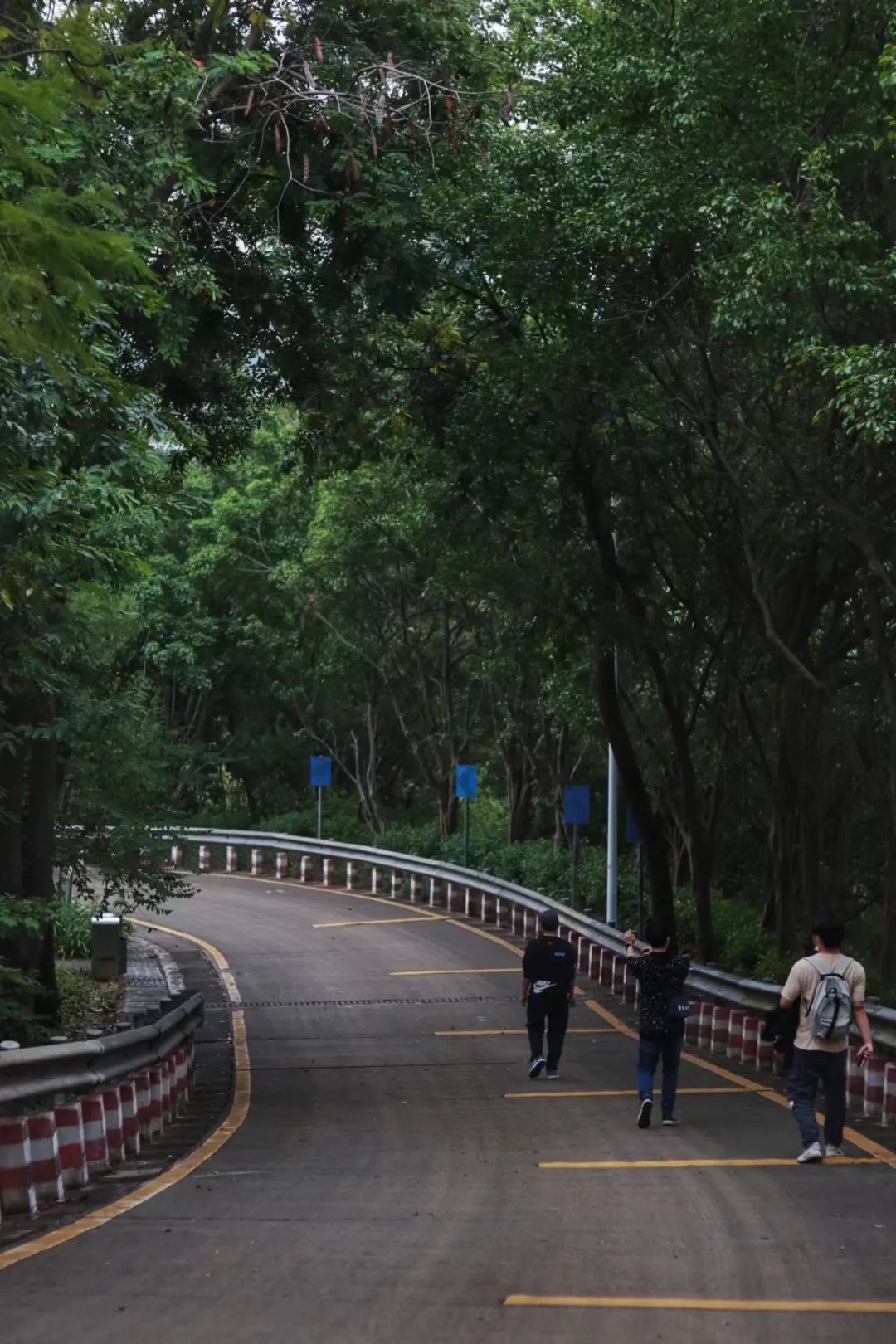 广州这个小众宝藏地,真不想你知道!人少好吃还便宜!