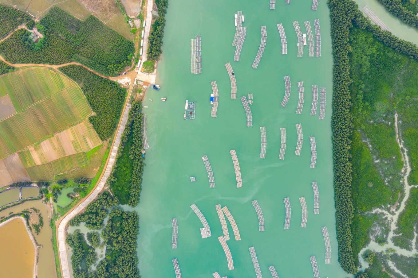 广州自驾线路,粤西海岸线,从广州到湛江徐闻