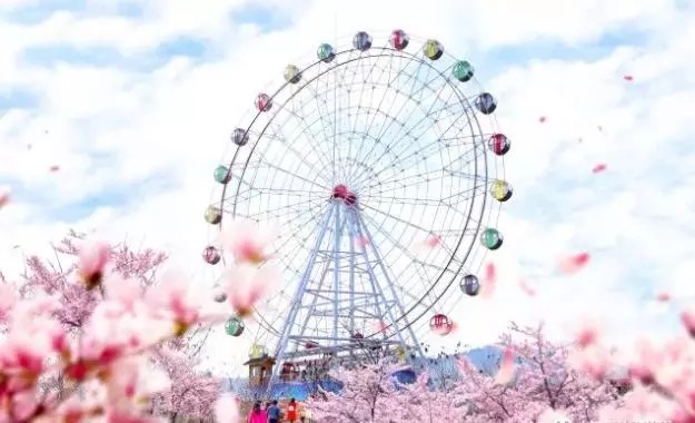 广深周边,踏青赏花寻秋