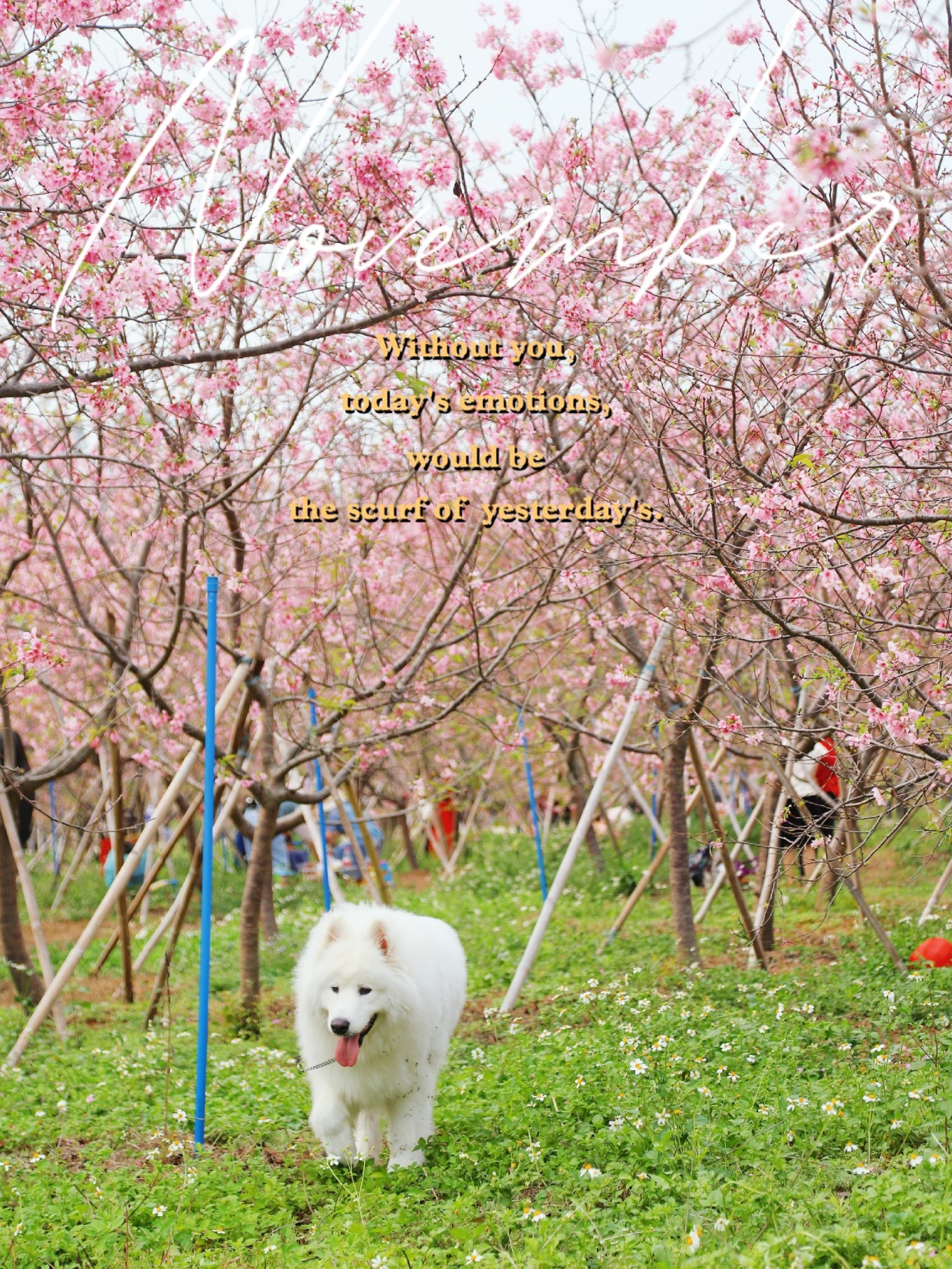 广州市郊四季游玩好去处